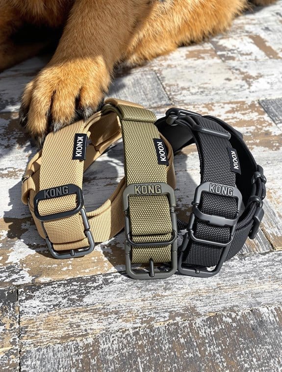 choosing kong tactical collar