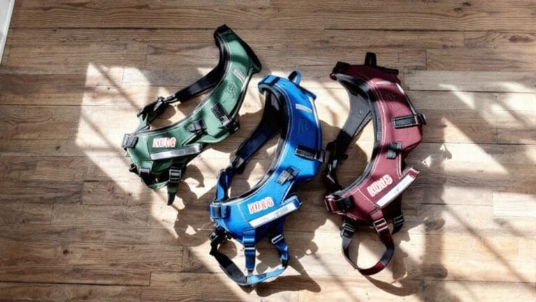 top rated kong harnesses