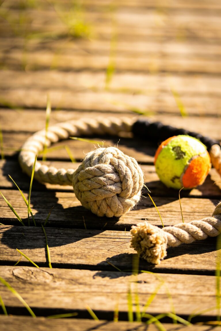 durable rope and ball toy