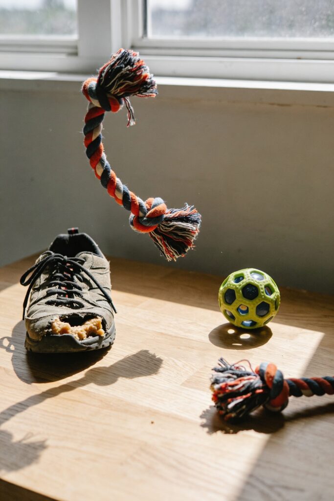 redirect bad behavior with toys