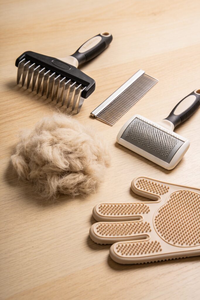 top rated 2026 deshedding tools